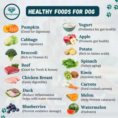 A balanced diet is crucial for your dog's health. This guide shows a variety of healthy foods, from proteins like beef and chicken to nutrient-rich fruits and vegetables like pumpkin, apples, and carrots.