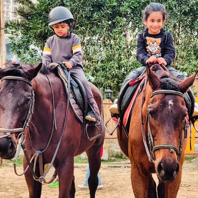Two young riders sit confidently on their horses, ready for their lesson. We provide well-trained horses suitable for children of all ages and skill levels.