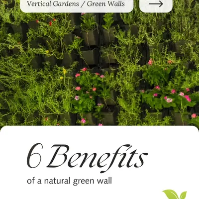 Our living walls are a masterpiece of benefits. They purify air, reduce noise, cool your space, lower stress, and more, bringing nature's magic right into your home.