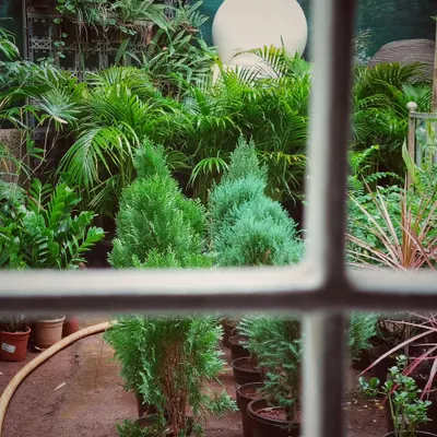 The view from our window on a rainy morning at the nursery is priceless. The entire garden center comes alive, filled with the fresh scent of rain and earth. Come visit us and experience this joy.