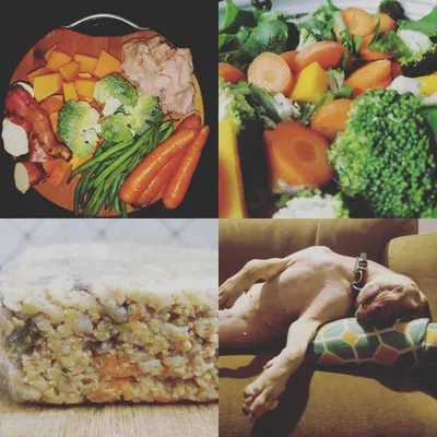 This collage shows my entire process. I start with whole, fresh ingredients, prepare them into a balanced meal, and the result is a well-fed, content dog. From farm-fresh produce to a food-coma nap, this is the cycle of proper nutrition.