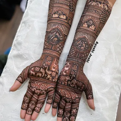 A classic and dense bridal design that is completely figure-free. It's filled with auspicious motifs like peacocks, elephants, parrots, and swans, woven into intricate patterns.