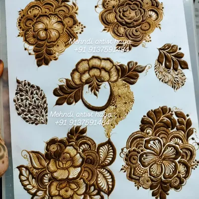 This practice sheet showcases a variety of floral motifs and leaves. Each one is a mini-composition, teaching you how to combine shading, bold lines, and delicate details.