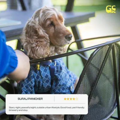 "Starry night, peaceful sight, outside urban lifestyle. Good food, pet friendly, brewery and stay." We're so glad Suraj and his furry friend enjoyed the vibe.