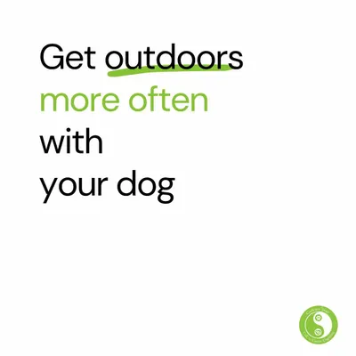 Resolution #1: Get outdoors more often with your dog. Decompression walks in nature are one of the best ways to reduce chronic stress for both of you and fulfill your dog's natural need to explore.