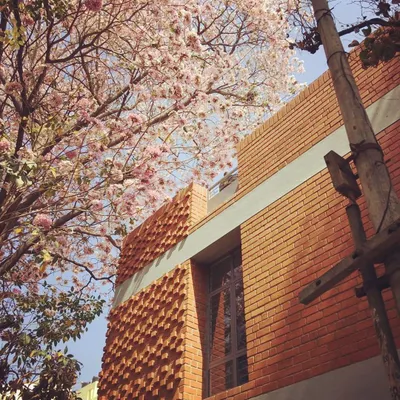 The angled brickwork on the facade is designed to catch light and shadow throughout the day. This artistic detail, seen here against a blooming tree, adds a layer of craft and visual interest to the building's exterior.