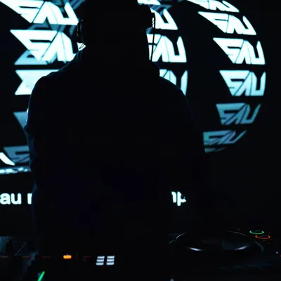 A silhouette against my signature 'SAU' globe visual. This shot captures the fusion of music and visuals that defines my sets, creating a powerful, immersive atmosphere.