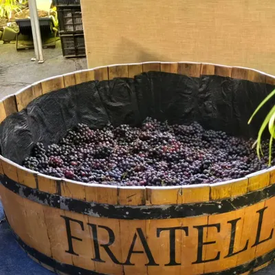 A traditional grape-stomping barrel set up for a festive event at the Taj West End. This interactive element was part of a larger commercial celebration, showing how I can incorporate engaging activities into event design.