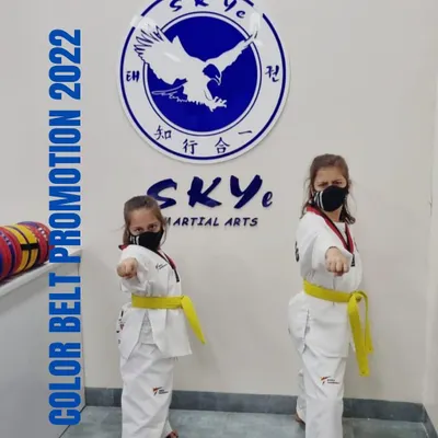 Two of our young students stand ready for their Color Belt Promotion in 2022. This moment captures their focus and determination as they prepare to demonstrate their skills and take the next step toward becoming a Black Belt.