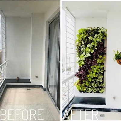 This before and after highlights the power of a vertical garden. We took a narrow, empty balcony wall and turned it into a lush tapestry of green and purple foliage, adding life without taking up any floor space.