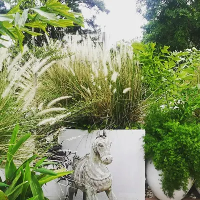 This view of the terrace garden for DWP Architects' founder shows how we layer plants of different heights and textures. The combination of tall grasses and dense shrubs creates a natural screen and adds a sense of privacy and seclusion.
