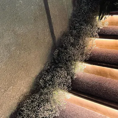 For a 25th-anniversary celebration, we created a romantic pathway by lining the staircase with a thick, cloud-like arrangement of baby's breath. The integrated soft lighting on the steps enhanced the dreamy and elegant effect, setting the mood right from the entrance.