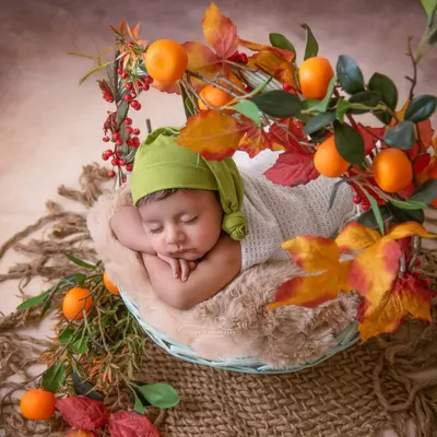 Wrapped in warmth and kissed by autumn colors. This cozy basket setup, adorned with oranges and fall leaves, is perfect for a baby born in the autumn months.