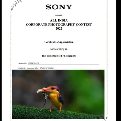 My photograph titled 'Jewel of Konkan', featuring an Oriental Dwarf Kingfisher, was selected for exhibition by Sony's All India Corporate Photography Contest in 2022.