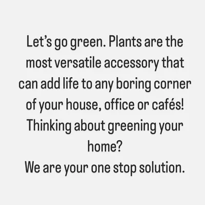 This is our core belief. Plants are the most versatile accessory for any space, and we are your one-stop solution for bringing more green into your life, whether at home, in the office, or at your cafe.
