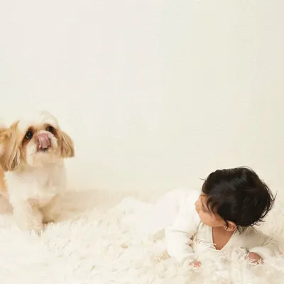 A sweet and funny moment between a baby and a dog on a fluffy white rug. The baby looks at the dog, who is licking its lips, creating a candid and adorable interaction.