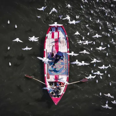 A creative top-down shot for a pre-wedding session in Prayagraj. The couple is in a colorful boat, surrounded by birds, creating a truly unique memory.