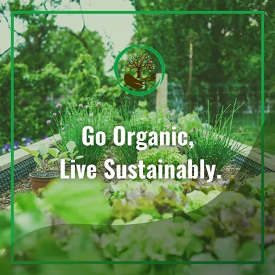 This is our core message: Go Organic, Live Sustainably. By choosing natural methods like composting, we can help decelerate land degradation and build a healthier relationship with the earth, starting in our own homes and gardens.