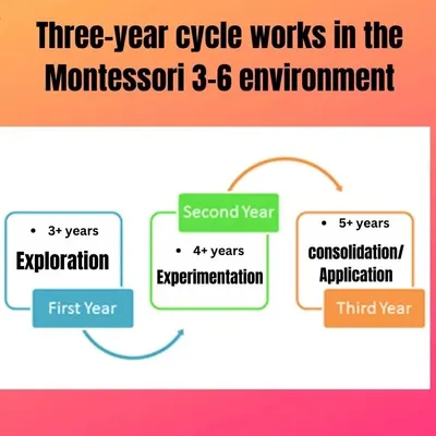 This diagram illustrates the three-year cycle in a Montessori environment. We group children in mixed-age classrooms (3-6 years) to foster mentorship and a community of learners, allowing each child to progress at their own pace through exploration, experimentation, and consolidation.