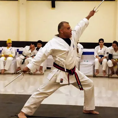 The study of Kobudo, or traditional weapons, is reserved for our advanced students. Here, I demonstrate a stance with the Sai, a weapon that requires immense discipline.
