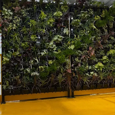 A frontal view of the living wall we installed at an Amazon facility. We carefully select a diverse mix of plants to create a rich texture and color palette, complete with integrated lighting to ensure the plants thrive.