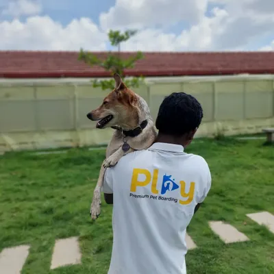 Our number one rule is simple: when a dog wants to be carried, the dog gets carried. No questions asked. Here, our team member is giving Queen Phoebe the royal treatment she requested.