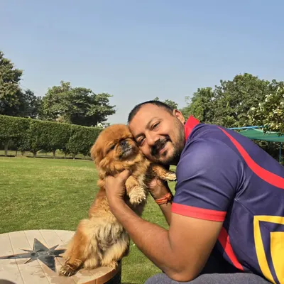 A hug and a cuddle for this sweet Pekingese. These moments of affection are what make our boarding facility a true home away from home.