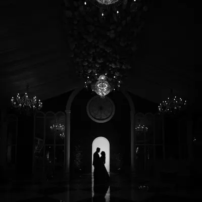 A dramatic black and white silhouette of the couple in a grand, dark hall, their figures framed by a single illuminated doorway, creating a sense of intimacy and mystery.