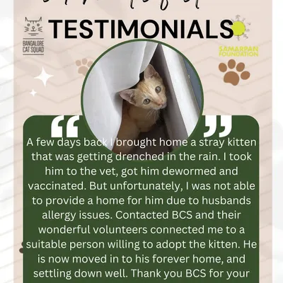 I love getting reviews from individual fosters like this one for Sekhmet. It’s a great feeling to know that our little ones are finding love in their new homes.