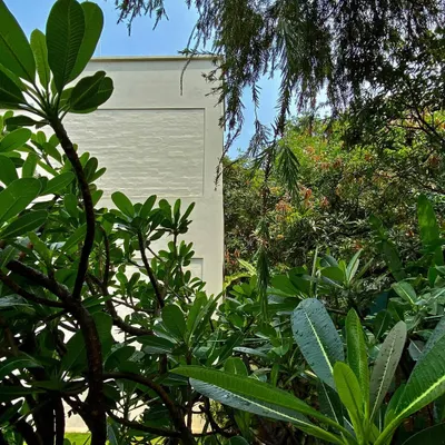 This is a 'wedge home' we designed 23 years ago in Hyderabad on an unusual triangular plot. Visiting it after two decades, it was wonderful to see how the home has matured with its garden and the family that loves it.