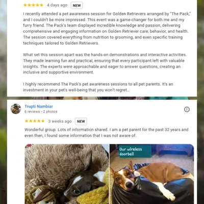 I am so grateful for the positive feedback from pet parents. Reading reviews like these, where they describe my sessions as a "game-changer," reinforces my commitment to helping families and their dogs.