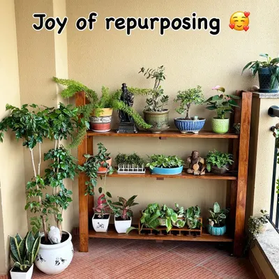 The joy of repurposing! We turned an old, unused teak wood sofa into this beautiful multi-tiered plant stand. It's now home to a collection of bonsai and other small plants, giving the old furniture a new lease on life.