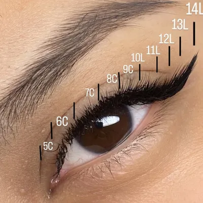 This is the blueprint for a perfect L-Style lash set. I use a mix of C and L curls and map the lengths precisely to create that signature sharp, lifted effect that mimics winged eyeliner.