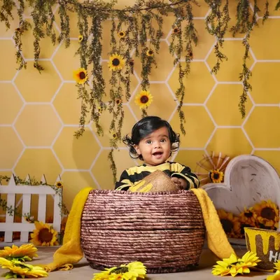 Our little honey bee is as sweet as can be in this adorable sunflower and honeycomb themed setup.