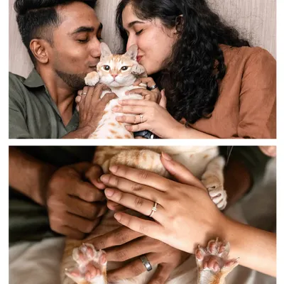 A collage from a viral engagement shoot starring Toffee, the orange tabby cat. From kisses with his humans to a close-up of his paws on their hands, this session perfectly captured his central role in their love story.