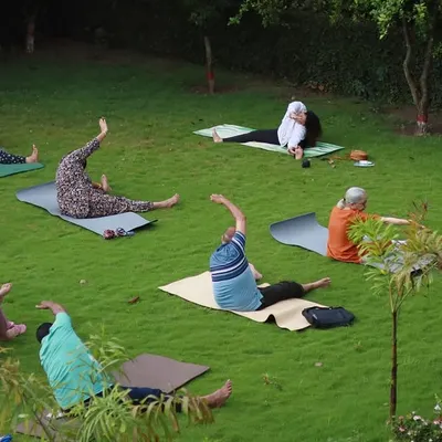 An outdoor yoga session with a diverse group of students enjoying the fresh air. We are practicing a gentle side stretch to open up the body.