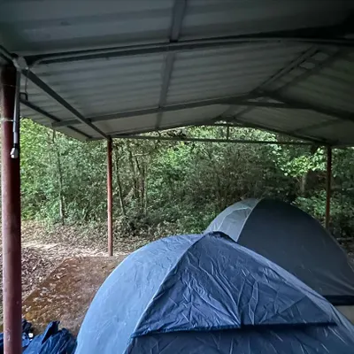 Our sheltered tent setup in the heart of the Agumbe rainforest. This is jungle camping done right, keeping you dry and comfortable.