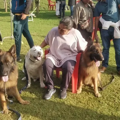 Our trainers and dogs on the set of the Bollywood movie 'Sam Bahadur'. Director Meghna Gulzar is seen here with our German Shepherds, Leo and Bairavaa, and our American Pitbull, Rocky.