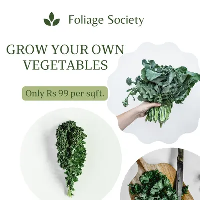 Growing your own food is a powerful act for your health and the planet. We can help you set up your own vegetable garden, starting from just Rs 99 per square foot.
