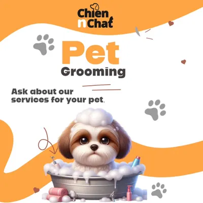 We offer a full range of pet grooming services. Ask us what's best for your pet to keep them clean, healthy, and happy.
