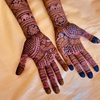 This design is filled with beloved traditional motifs, including majestic elephants and graceful peacocks, woven into a dense, celebratory pattern perfect for a bride.
