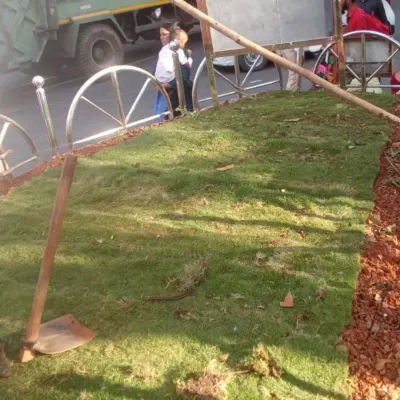 Work is always fun, especially when it's for the community. This photo shows our team in the process of laying fresh turf for a BMC road island project.