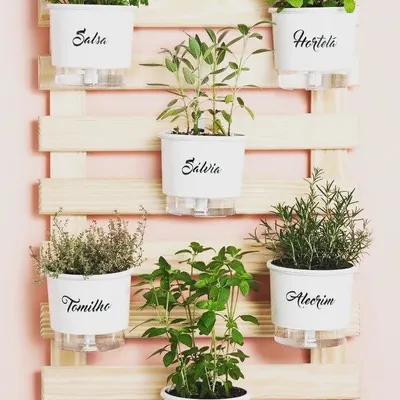 This vertical herb garden, built on a simple wooden frame, is a perfect example of how to grow a variety of herbs like basil, thyme, and sage in a small space. Each pot is clearly labeled, making it both a functional and beautiful addition to your home.