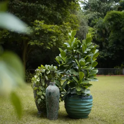 Meet the Atlantic Glaze Rustic Pot, an artisanal masterpiece. Its textured finish in tranquil blues and earthy taupes makes each pot a one-of-a-kind keepsake, perfect for bringing rustic elegance to your home.