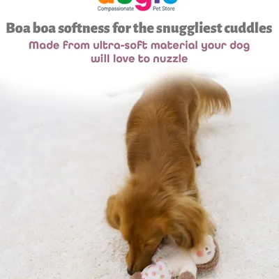 This adorable Hug Squirrel toy is made from an ultra-soft "boa boa" material that your dog will love to nuzzle. It's the perfect cuddle buddy for nap time.