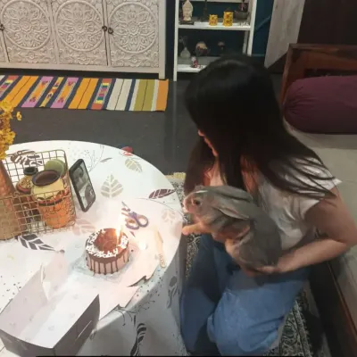 We love to celebrate milestones. Here is the birthday party I threw for Billu the rabbit, complete with a pet-friendly cake and a candle.