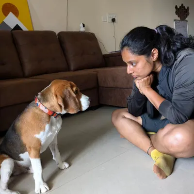 The final session is always bittersweet. It marks the end of our formal training but the beginning of a new chapter for the pet parents. Here's me making some promises with Whiskey the Beagle on his graduation day.