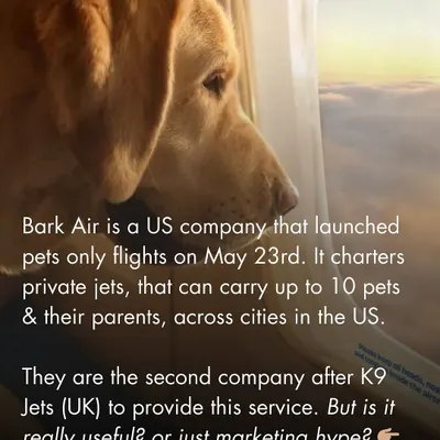Bark Air has launched flights for dogs, but is it helpful or just hype? We analyze this new service for pet parents.