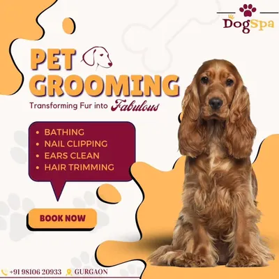 I transform fur into fabulous. My pet grooming services include bathing, nail clipping, ear cleaning, and hair trimming. Book now to give your pet the care they deserve.