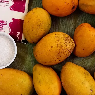 The simple, fresh ingredients for our mango milkshake activity. We use seasonal fruits like these delicious mangoes, along with milk and a little sugar, to create a healthy and refreshing treat.